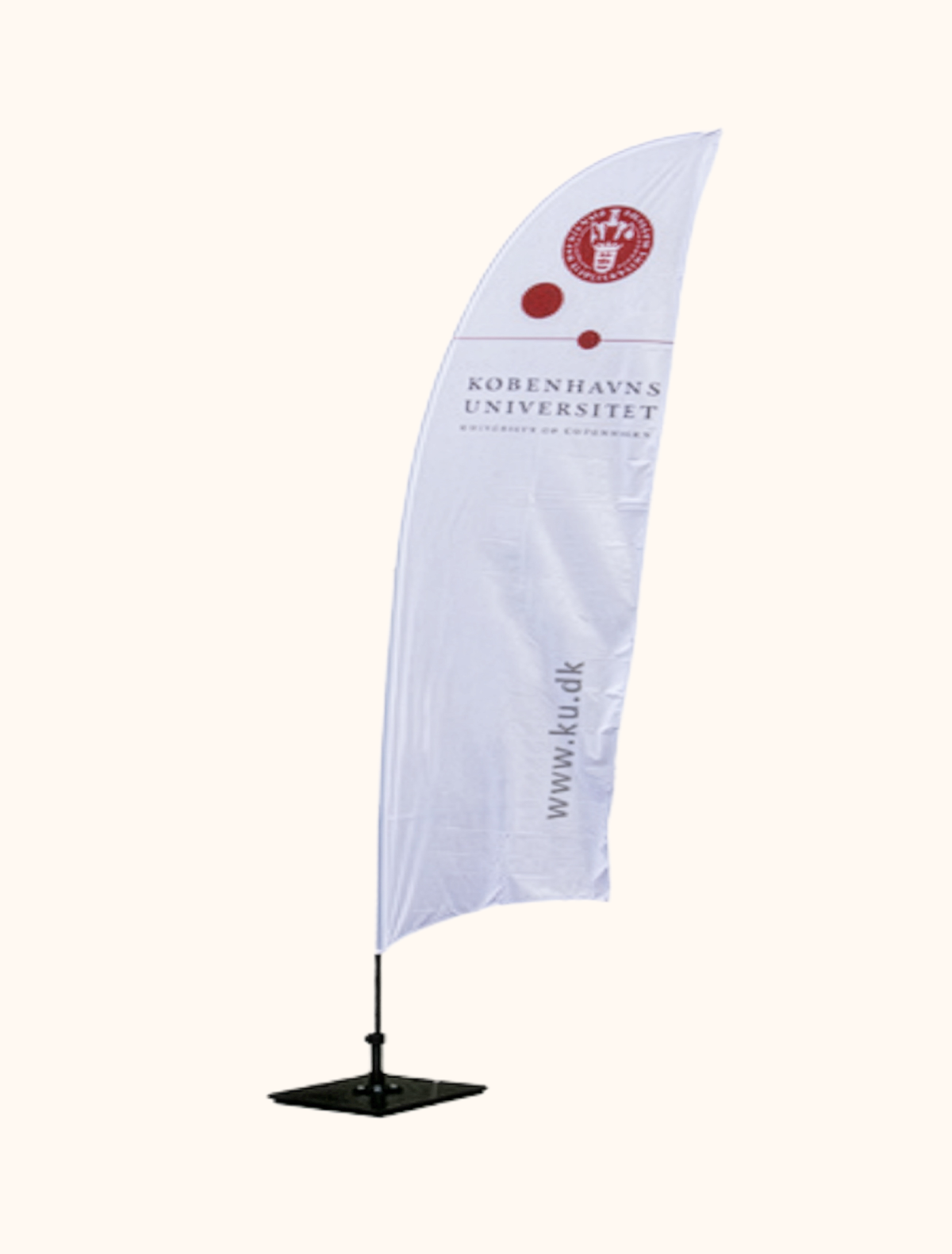 Strandflag 259 x 84-2